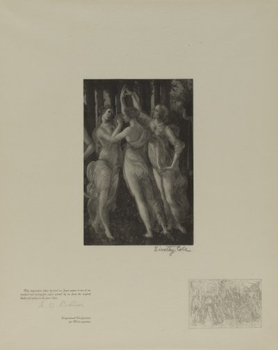 Anciens maîtres italiens - Timothy Cole