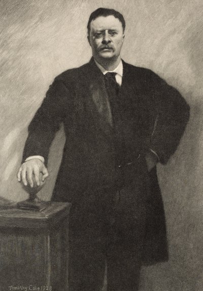 Theodore Roosevelt - Timothy Cole
