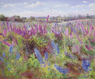 Champ de delphiniums et église - Timothy Easton