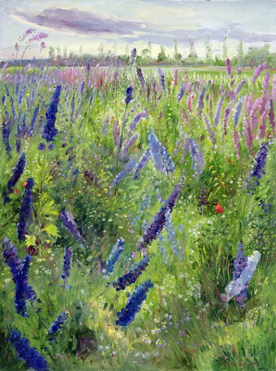 Delphiniums et soleil émergent - Timothy Easton