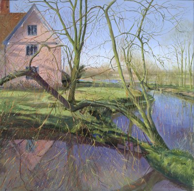 Saule en germe - Timothy Easton