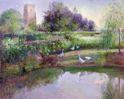 Reflets au crépuscule - Timothy Easton
