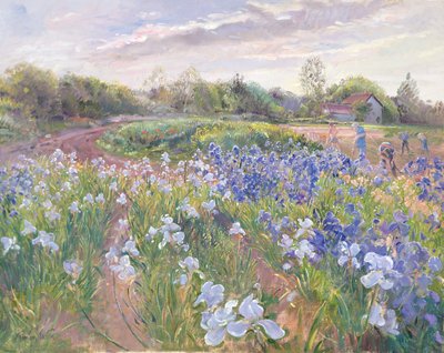 Éclat de soleil sur des iris, 1996 - Timothy Easton