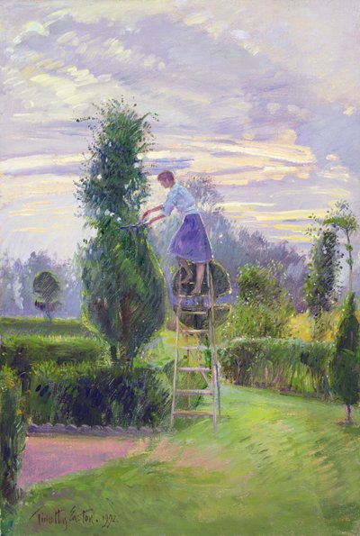 La première coupe - Timothy Easton