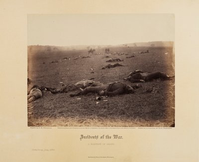 Incidents de guerre : une moisson de mort - Timothy H. O