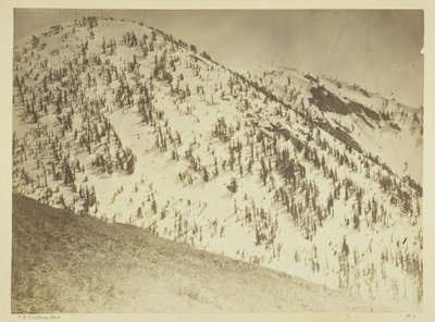 Snow Peaks, district minier de Bull Run, Nevada - Timothy O