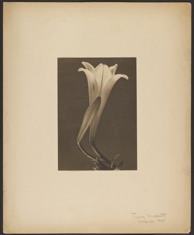 N° 1. - Tina Modotti