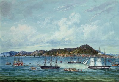 Vue de Hong Kong, vers 1860 - Tinqua