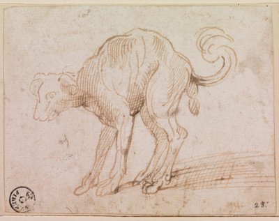 Détail d