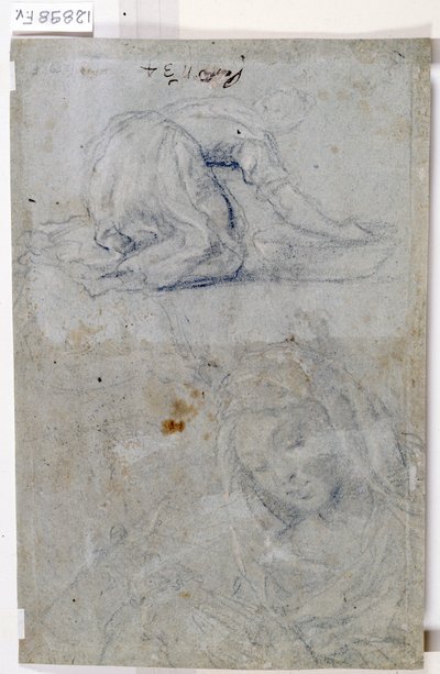 Études de la Vierge - Titian (c.1488 1576)