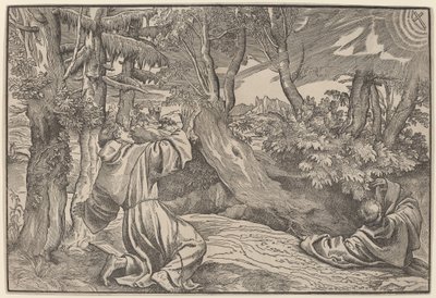 Saint François Recevant les Stigmates - Titian
