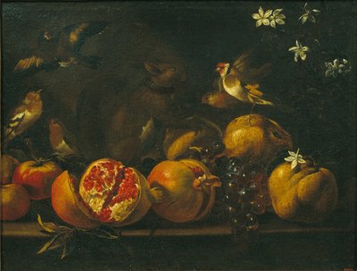 Nature morte avec grenades, raisins, oiseaux et écureuil - Tommaso Realfonso
