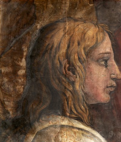 Une tête du carton pour la tapisserie de la Présentation au Temple, vers 1524 - Tommaso Vincidor