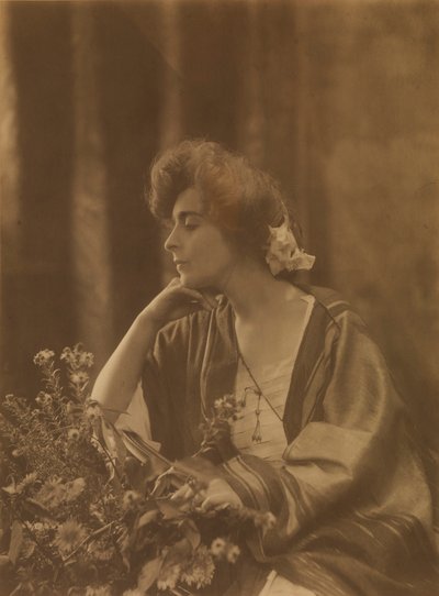Laura Dreyfus Barney - Toponier Roissonnas