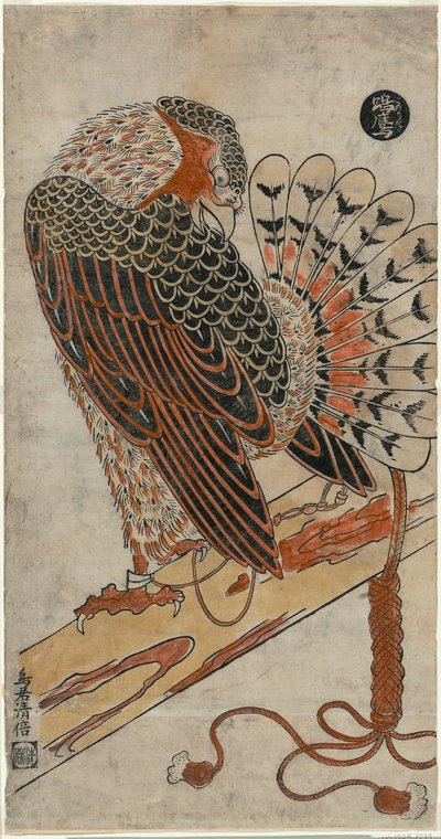 Épervier (Konori taka) - Torii Kiyomasu I