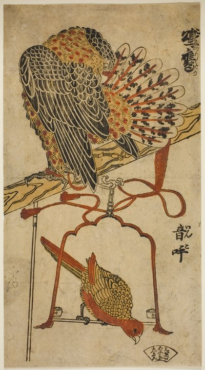 Épervier et ara (Konori taka, inko) - Torii Kiyomasu I