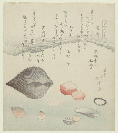 Coquille de fleur, coquille rouge et la coquille rouge pure (Une série de coquillages) - Totoya Hokkei