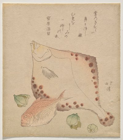 Plie, dorade avec des bourgeons de fukujus? - Totoya Hokkei