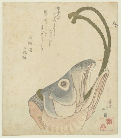 Tête de saumon - Totoya Hokkei