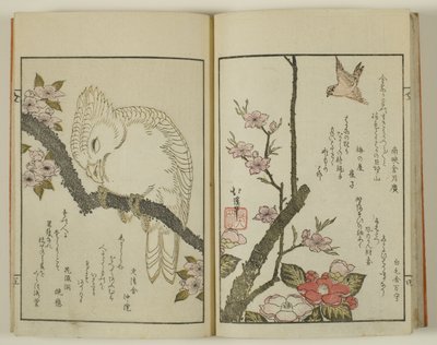 Kyoka hyakucho Kocho - Totoya Hokkei