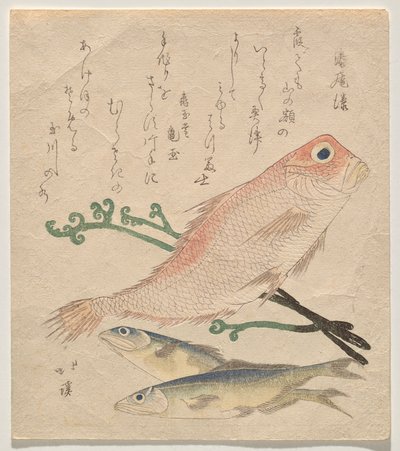 Dorade rose et deux petites truites - Totoya Hokkei