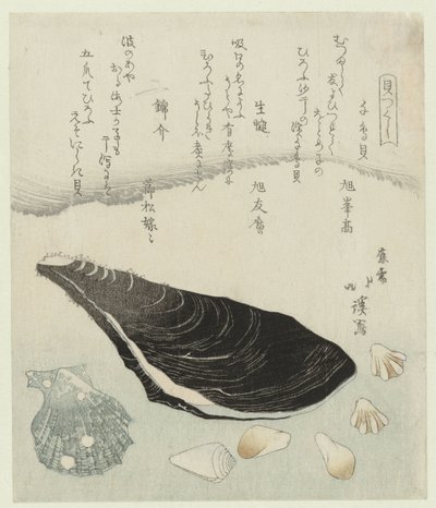 Coquilles de pluvier, moule crue et coquille de brocart (Une série de coquillages) - Totoya Hokkei