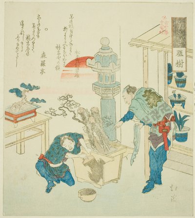 Plante en Pot (Ueki), de la série "Dix-huit Illustrations de l