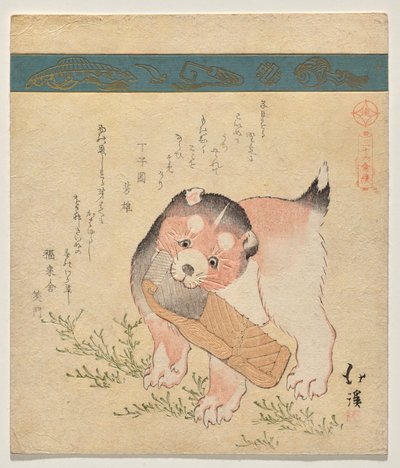 Chiot avec tranche de saumon séché - Totoya Hokkei