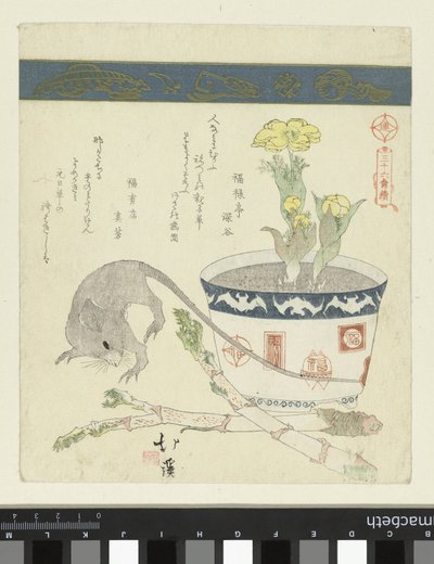 Rat et bol avec Adonis - Totoya Hokkei
