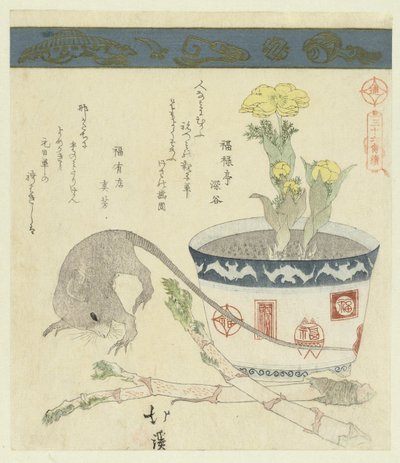 Rat et bol avec adonis (Une série de trente-six oiseaux) - Totoya Hokkei