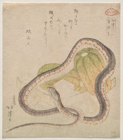 Serpent enroulé autour de gourdes (Chomonjō; abréviation pour le Kokon Chomonjō) - Totoya Hokkei