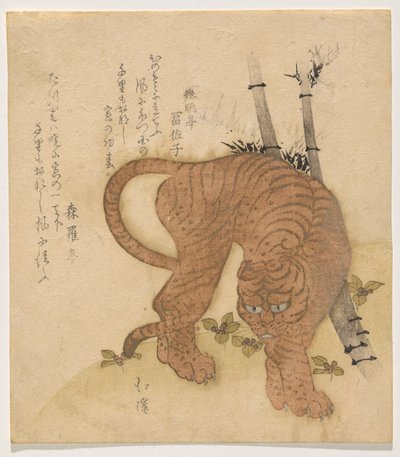 Tigre prenant la pose - Totoya Hokkei