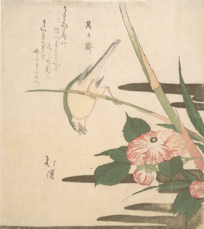 Paruline et camélia, vers 1815-20 - Totoya Hokkei
