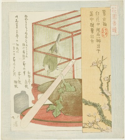 Fauvette en cage, de la série "Une série pour le groupe Hanazono (Hanazono bantsuzuki)" - Totoya Hokkei