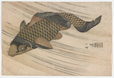 Carpes remontant le courant, période Edo, milieu des années 1820 - Toyota Hokkei