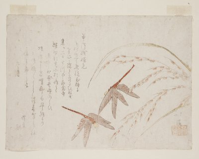 Libellules (estampe sur bois en couleur) - Toyota Hokkei