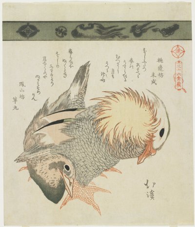 Canard mandarin et canard, vers 1830 - Toyota Hokkei