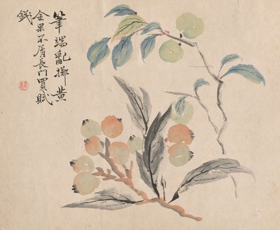 Néflier du Japon - Tsubaki Chinzan