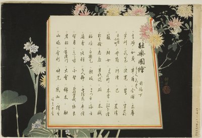 Page d