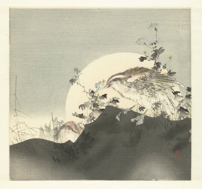 Cailles - Tsukioka Kogyo