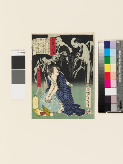 La femme Shizunome Ohyaku - Tsukioka Yoshitoshi