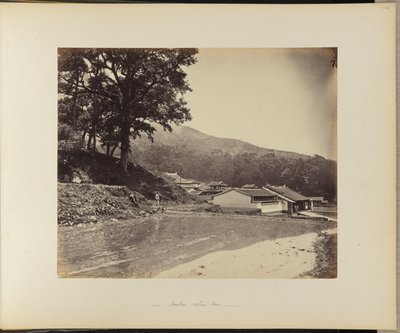 Maison de la mousse de Kushan - Tung, Hing