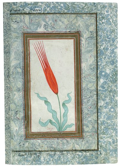 Page de l