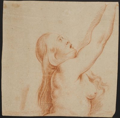Femme se lamentant du mythe de Phaéton - Ubekendt