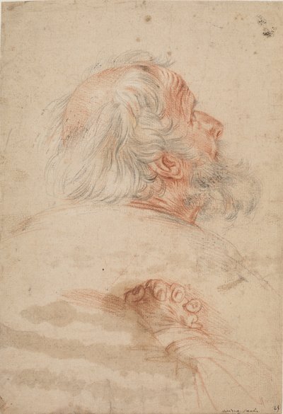 Études de la tête d