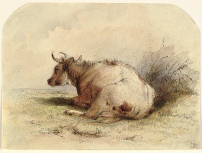 Vache assise - Ubekendt KKSgb7508 KKSgb7512