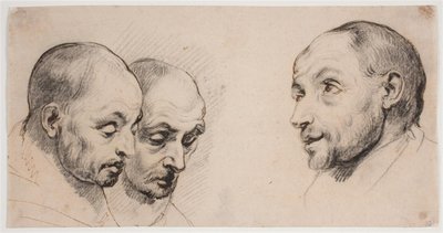 Trois têtes d
