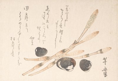 Plante Tsukushi et coquilles Shijimi - Uematsu Toshu
