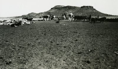 Vue de la zone archéologique de Naqa, avec des dromadaires et du bétail, Soudan, photographie d