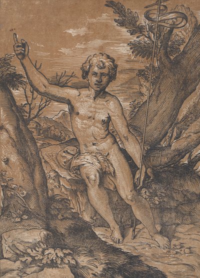 Le jeune Saint Jean-Baptiste dans le désert, vers 1520-1527 - Ugo da Carpi